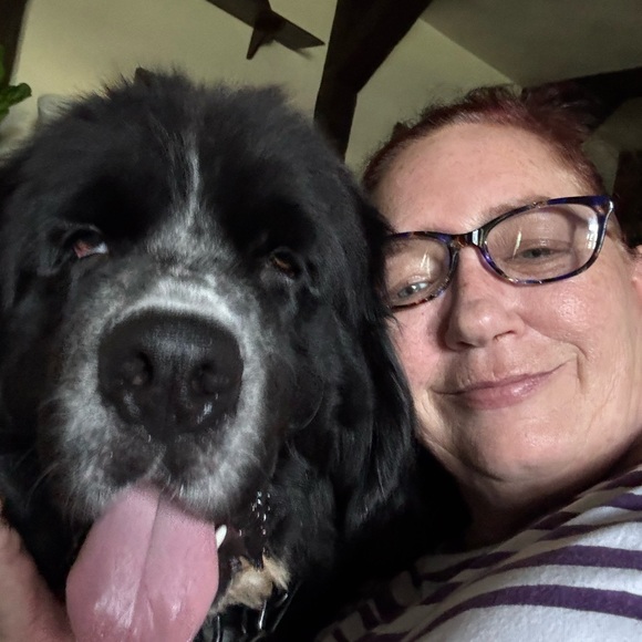 Meet your Posher, Lisa - Picture 12 of 15